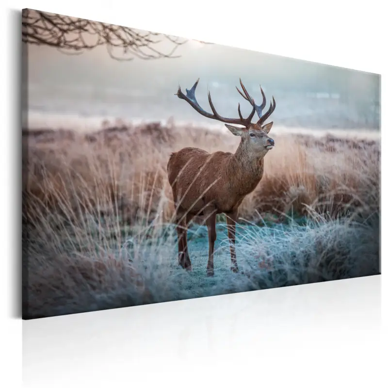 Super Prix Schilderij - Wild Animal - 120x80