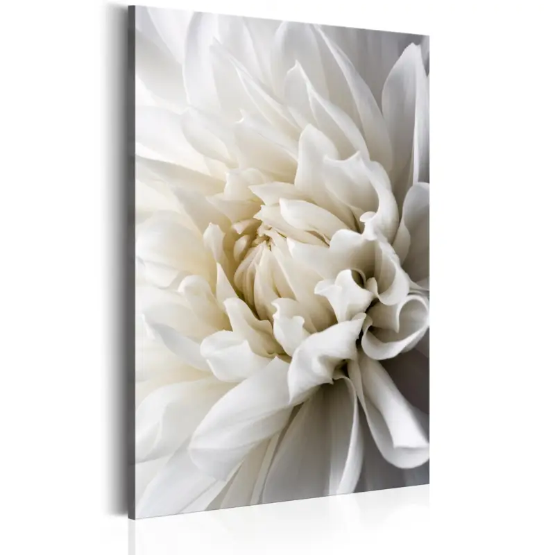 Acheter En Ligne Schilderij - White Dahlia - 60x90
