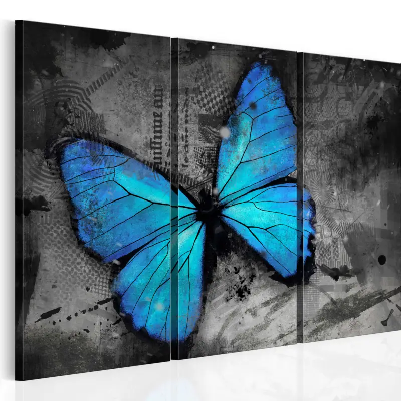 Schilderij - The study of butterfly - triptych - 60x40 Promotion