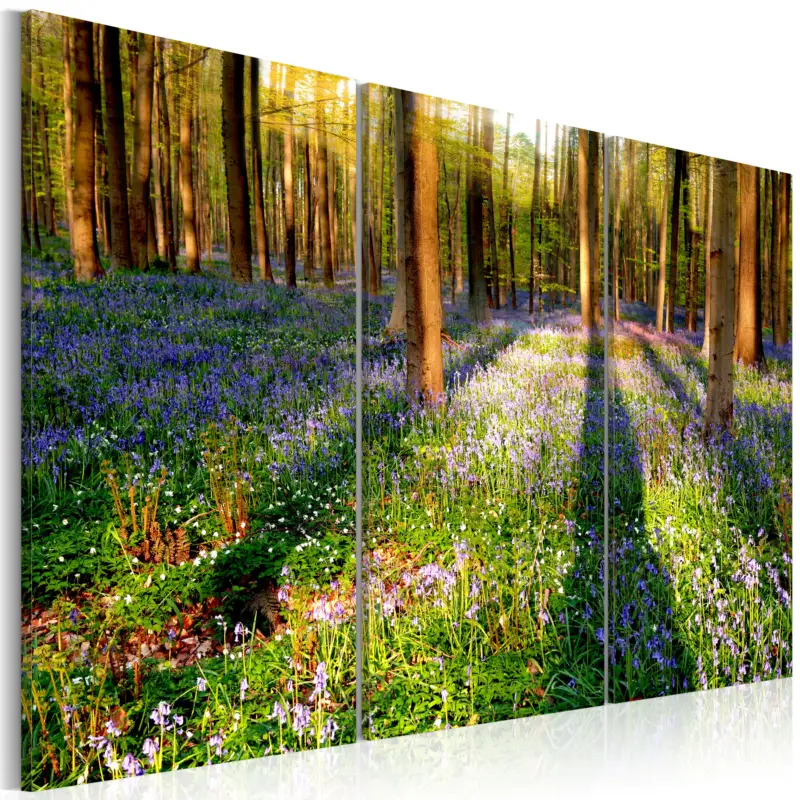 Usine Directe Schilderij - Spring Forest - 120x80