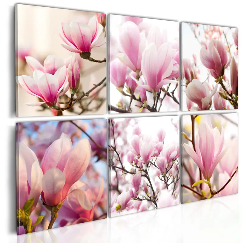 Vente Directe Schilderij - Southern magnolias - 60x40