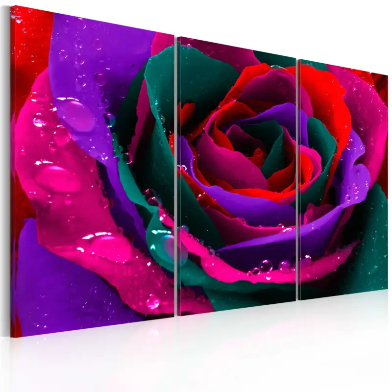 Solde Schilderij - Regenboogkleurige rose - 120x80