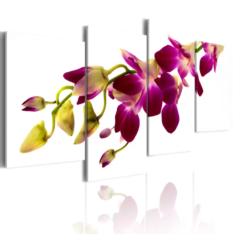 Vente Flash Schilderij - Orchid's gloed - 80x45