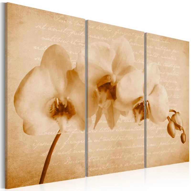 Acheter Direct Schilderij - orchidee (vintage) - 90x60