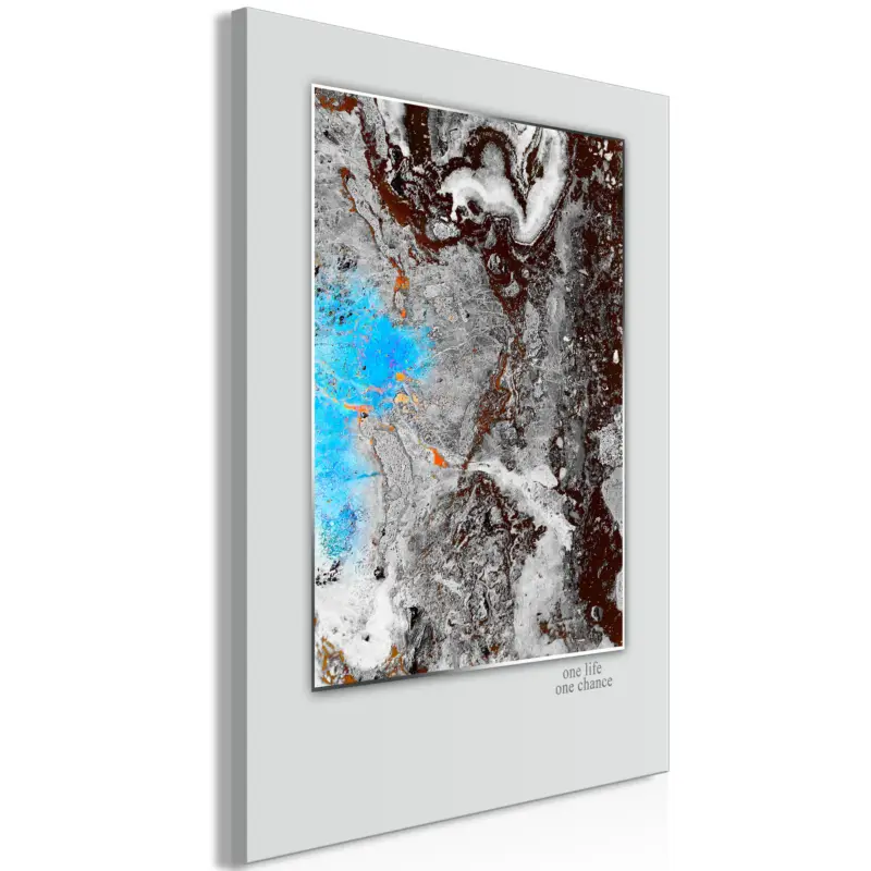 Acheter En Ligne Schilderij - One Life - One Chance (1 Part) Vertical - 80x120