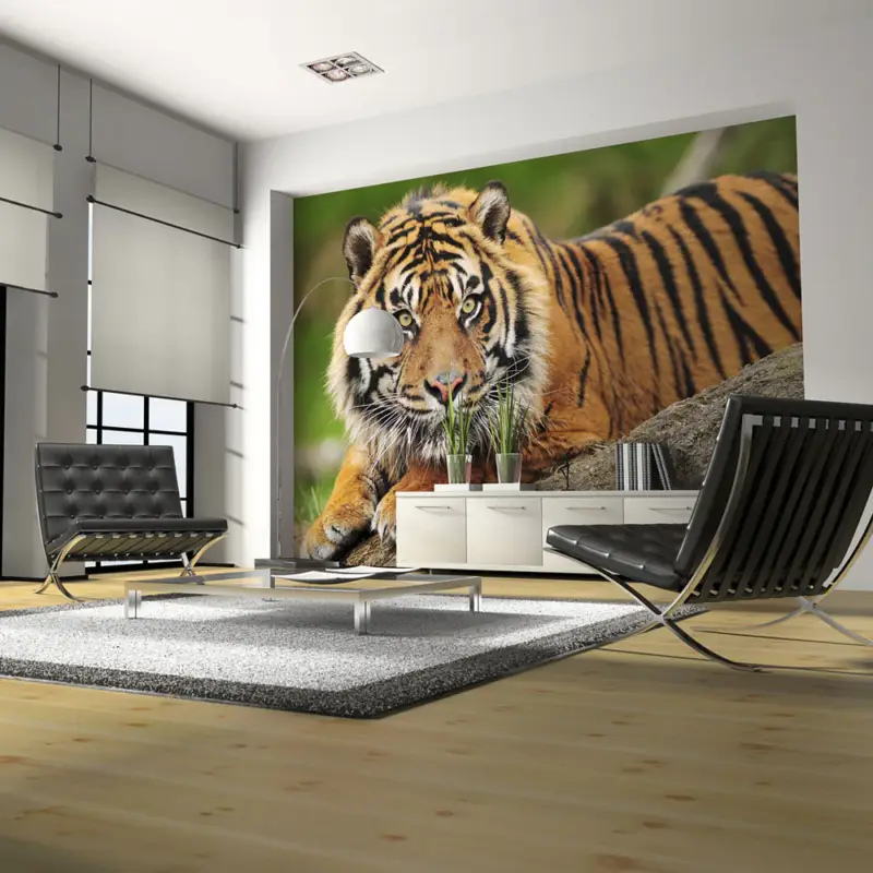 Top Vente Fotobehang - Sumatraanse tijger - 200x154