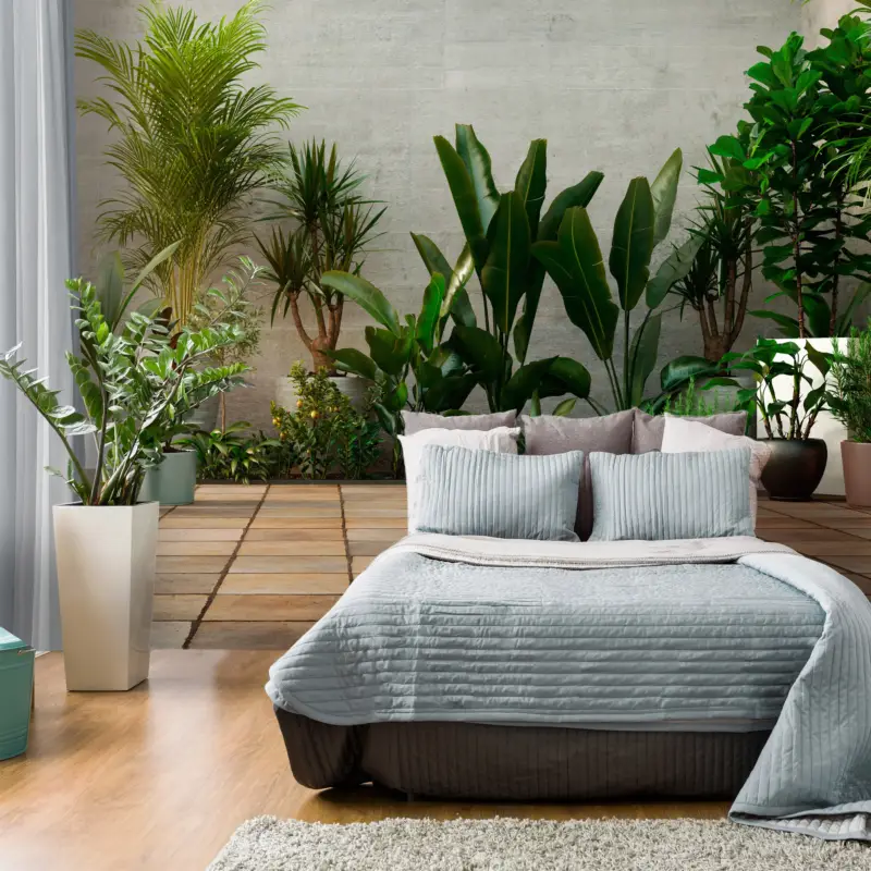 Achat Immédiat Fotobehang - Home Garden - 150x105