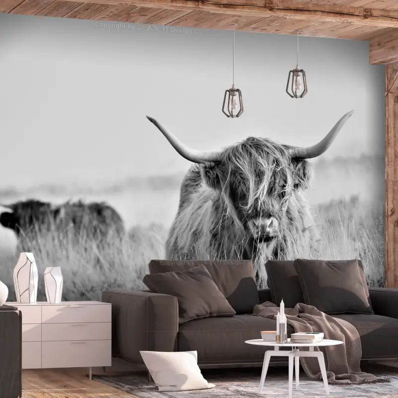 Achat Immédiat Fotobehang - Highland Cattle - 150x105