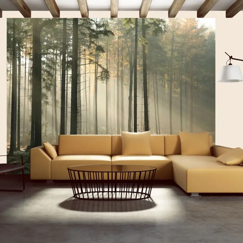 Top Vente Fotobehang - Foggy November morning - 400x309