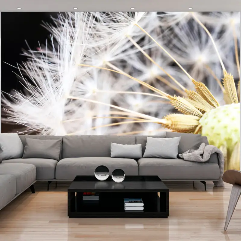 Achat Immédiat Fotobehang - Fluffy dandelion - 100x70