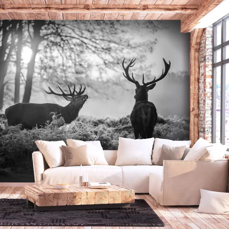 Top Vente Fotobehang - Deers in the Morning - 100x70