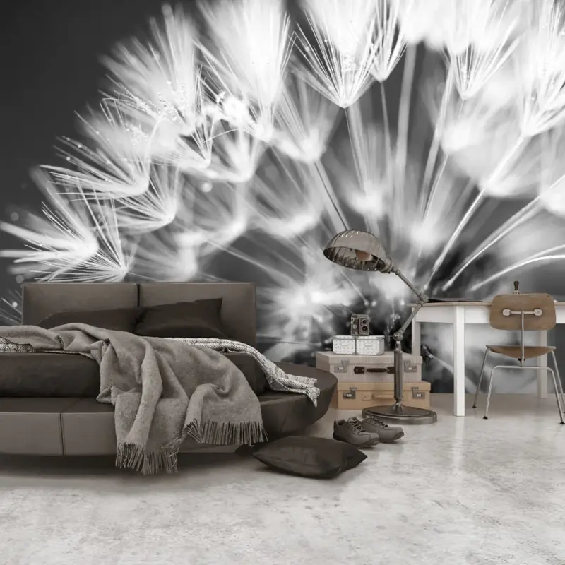 Usine Directe Fotobehang - Dandelion: Kiss of the Morning - 250x175