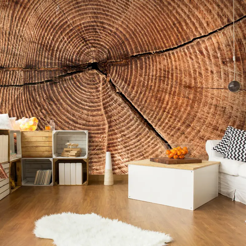 Achat Immédiat Fotobehang - Boomstam dwarsdoorsnede - 300x231