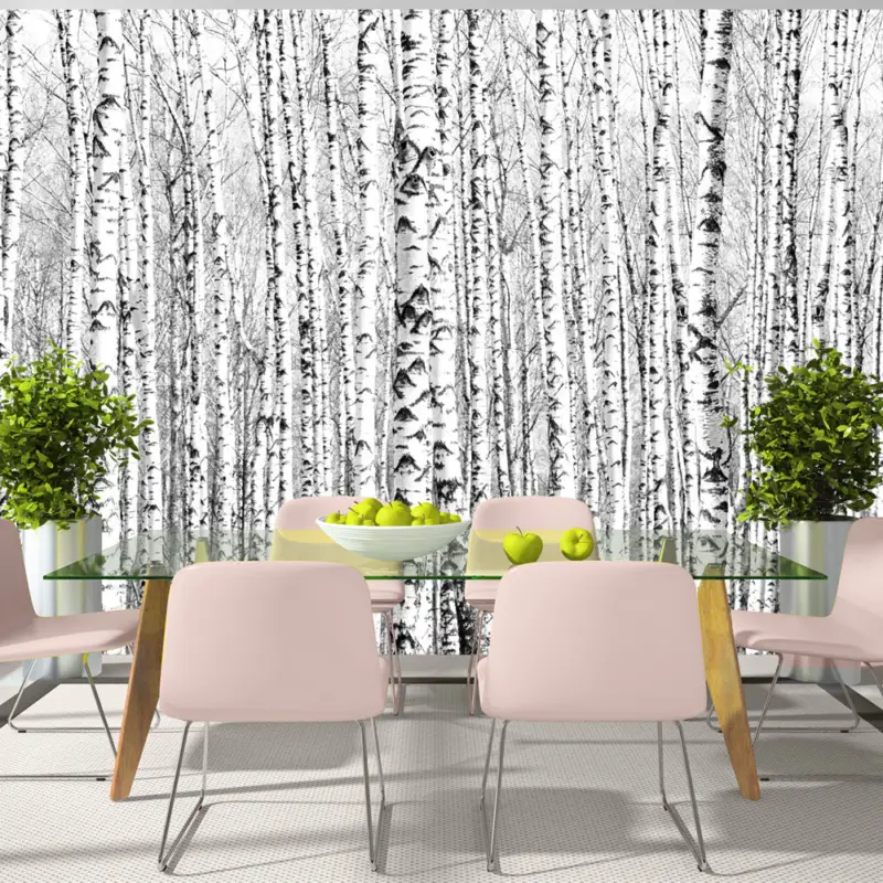 Achetez Aujourd’hui Fotobehang - Birch forest - 150x105