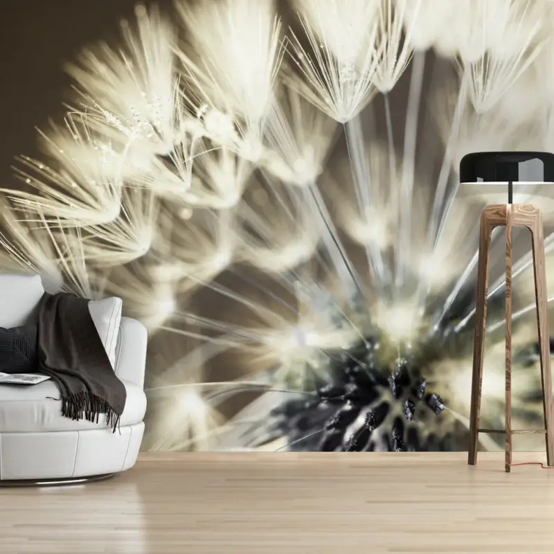 Acheter Direct Fotobehang - Beautiful Summer Morning - 150x105