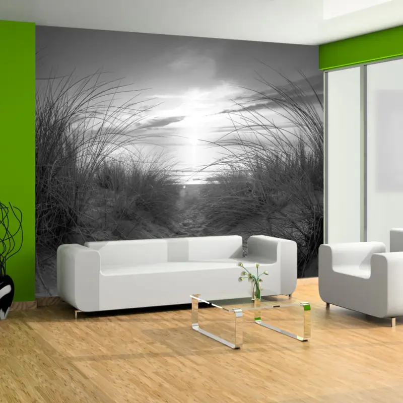 Top Vente Fotobehang - beach (black and white) - 250x175