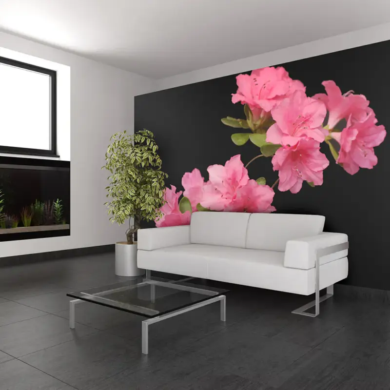 Vente Flash Fotobehang - Azalea in Black - 350x270