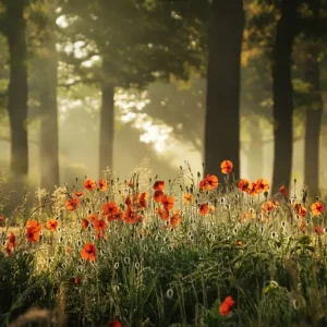 The poppy forest posters & art prints door Yen Do - Premium Poster - 50x70 Seulement Aujourd’hui