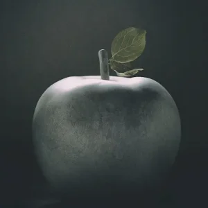 Zuiver posters & art prints door Annica Mari - Premium Poster - 50x70 Seulement Aujourd’hui