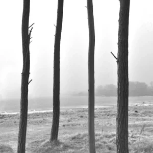 Aan het einde van de wereld posters & art prints door Ruben Green - Premium Poster - 50x70 Offre Exclusive