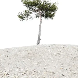 ZAND CAPE posters & art prints door Lo Varg - Premium Poster - 50x70 Livraison Gratuite