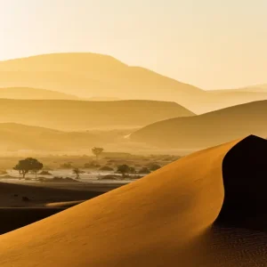 Zonsondergang in de woestijn posters & art prints door Johan Pehrson - Premium Poster - 50x70 Offre Du Jour