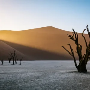 Zonsondergang in Dead Vlei posters & art prints door Johan Pehrson - Premium Poster - 50x70 Prix Réduit