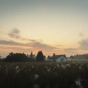 Zomer in mist posters & art prints door Henrik Sjöberg - Premium Poster - 50x70 Réduction