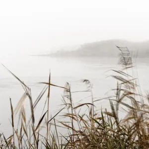 Achat Immédiat Miststemming in de Oderbruch posters & art prints door Ralf Lehmann - Premium Poster - 50x70