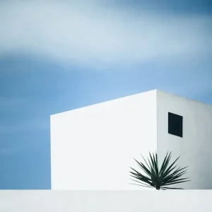 Achat Immédiat de palmboom posters & art prints door Renate Wasinger - Premium Poster - 50x70