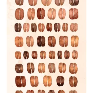 50 tinten koffiebonen posters & art prints door Vera Zhurba - Premium Poster - 50x70 Satisfait Ou Remboursé