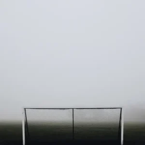 Zlatan posters & art prints door Adam Nouno - Premium Poster - 50x70 Certifié