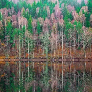 Achat Immédiat De herfst posters & art prints door Andreas Olsson - Premium Poster - 50x70