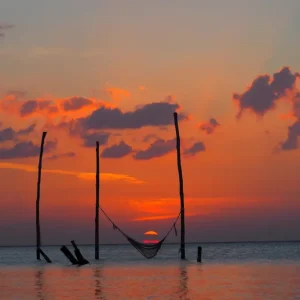 Zonnebank posters & art prints door Mala Labeyrie - Premium Poster - 50x70 Offre Du Jour