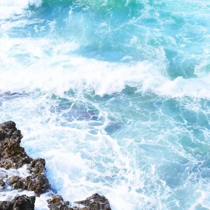 Zee posters & art prints door Izabella Stigberg - Premium Poster - 50x70 Prix Réduit