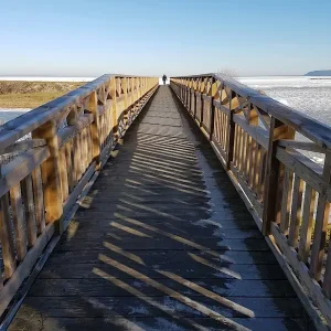 ZANDERIG posters & art prints door Eva Cecilia Gerenmark - Premium Poster - 50x70 Meilleur Choix