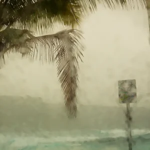 Zware regenval posters & art prints door Nicklas Westberg - Premium Poster - 50x70 Vente Flash