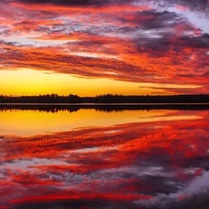 Zonsopgang posters & art prints door lankinen janne - Premium Poster - 50x70 Certifié