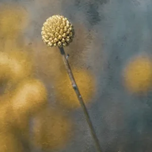 Zonnebal blauw posters & art prints door Glenn T Unger - Premium Poster - 50x70 Bon Plan