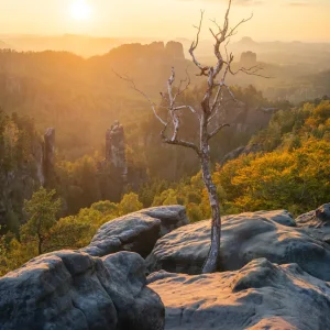 Zonsopgang sereniteit: een eenzame boom tegen een majestueus landschap posters & art prints door Nils Steiner - Premium Poster - 50x70 Haute Qualité