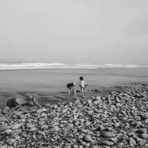 Zeespeeltuin posters & art prints door Cecilia Vinell - Premium Poster - 50x70 Pas Cher