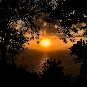 Zonsondergang posters & art prints door Gunilla Wall - Premium Poster - 50x70 Prix Promo