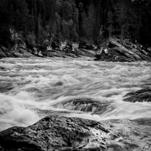 Achat Immédiat Rapids posters & art prints door Martin Dahlén Jansson - Premium Poster - 50x70