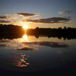 Zonsondergang over Råstasjön posters & art prints door Maria Thiessen - Premium Poster - 50x70 Satisfait Ou Remboursé