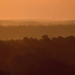 Achat Immédiat Dageraad posters & art prints door Mats Axell - Premium Poster - 50x70