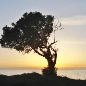 Zonsondergang posters & art prints door Berthil Johansson - Premium Poster - 50x70 Achetez Aujourd’hui