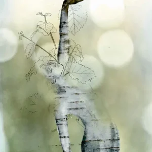 Zielen van de bomen - Berk posters & art prints door Sara-Lena Möllenkamp - Premium Poster - 50x70 Prix Promo