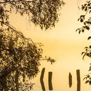 Zonsopgang in mist over de rivier posters & art prints door Mikael Svensson - Premium Poster - 50x70 Super Prix