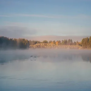 Achat Immédiat Mist op Ljusnan posters & art prints door Åke Remén - Premium Poster - 50x70