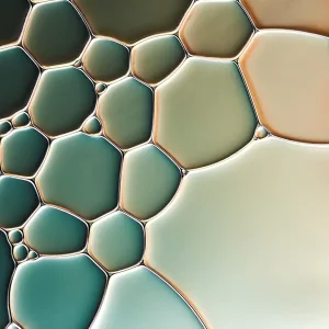 Abstract Groen posters & art prints door NEOWANDO Fine Art Fotografie - Premium Poster - 50x70 Jusqu’à Épuisement Des Stocks